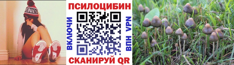 Галлюциногенные грибы Psilocybine cubensis Купить Кудрово